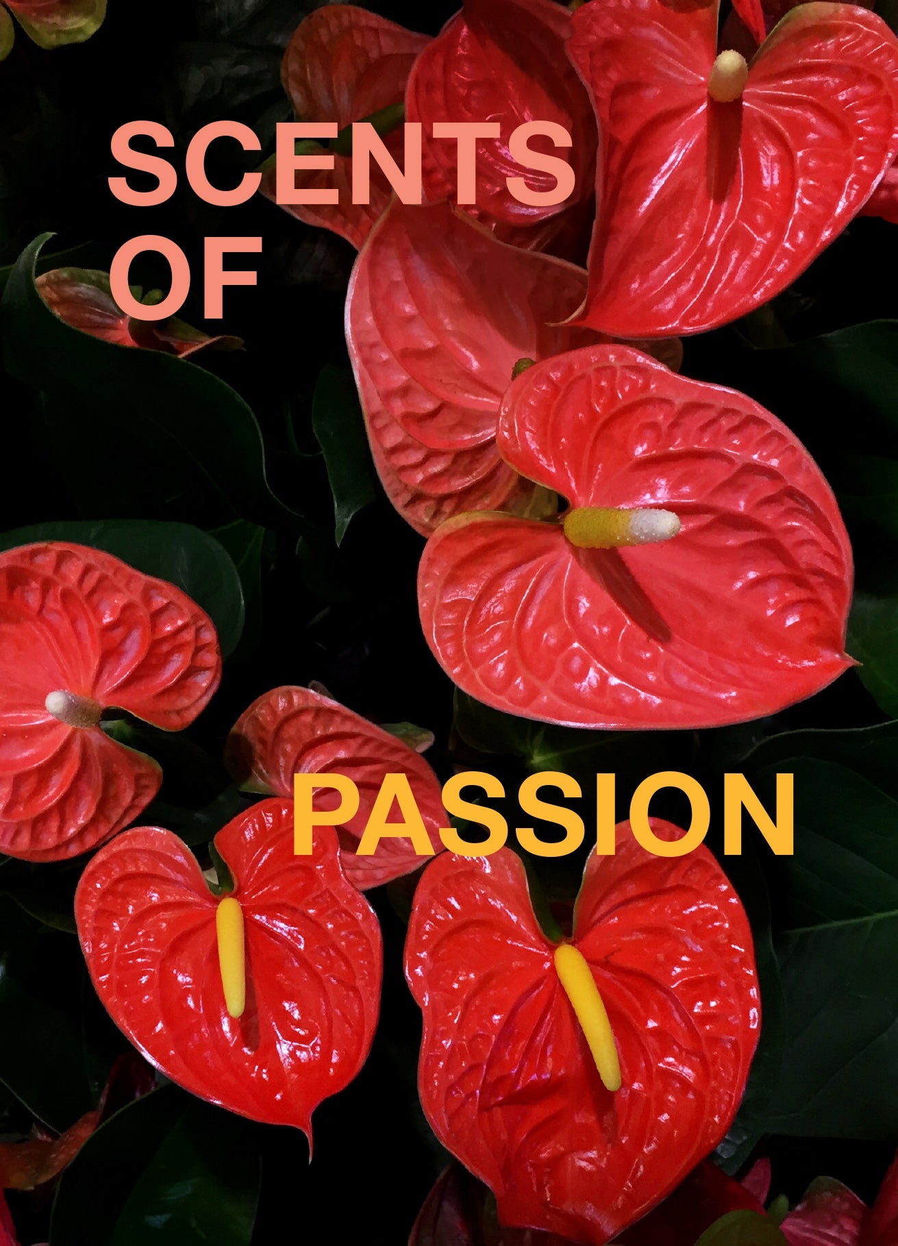 Scents of passion playlist